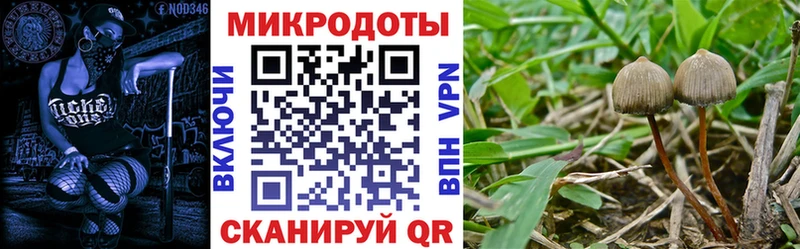 Псилоцибиновые грибы Psilocybine cubensis  OMG зеркало  Яранск  дарнет шоп 